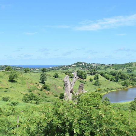 Bungalow La Paillote Le Francois Luaran gambar