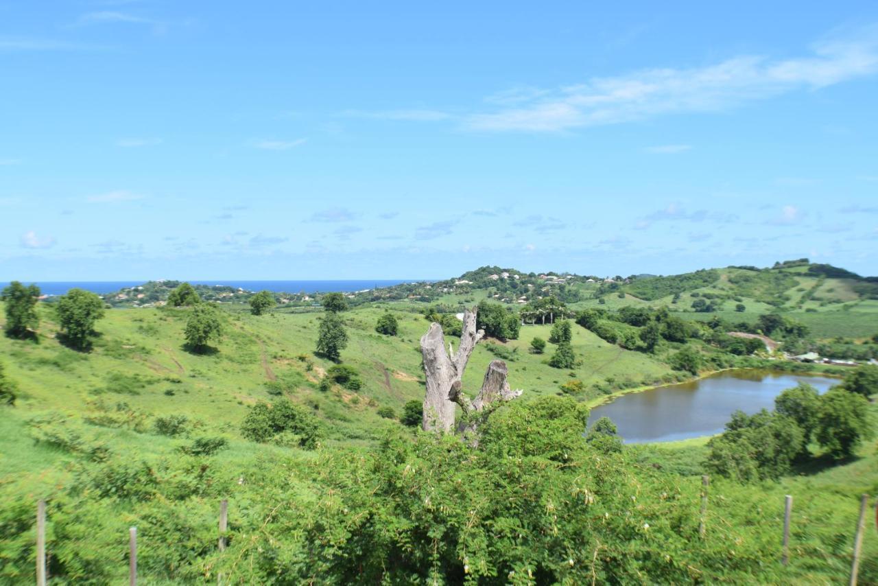 Bungalow La Paillote Le Francois Luaran gambar