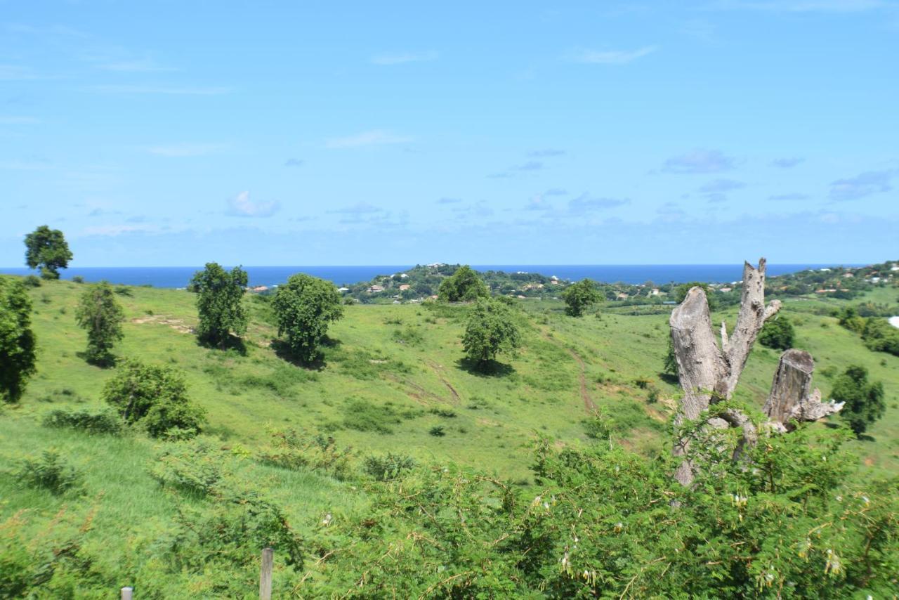 Bungalow La Paillote Le Francois Luaran gambar